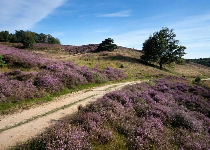 Accommodatie bij particulieren Homestay Maashees Maashees